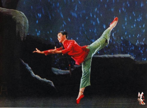 证据公证书可以只印其中几页